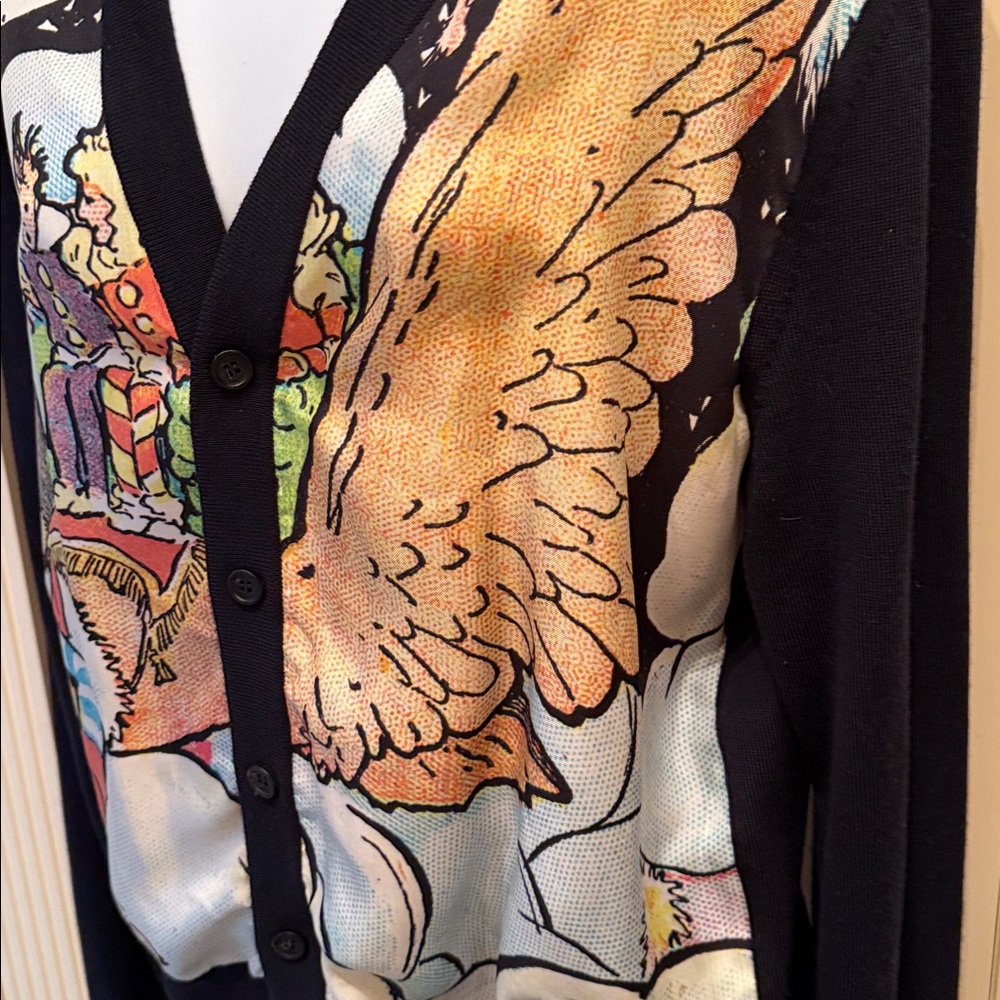 Lanvin x Little Nemo in Slumberland Silk & Wool Cardigan - XS - Picture 8 of 10